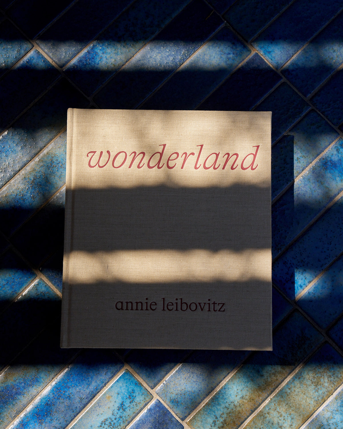 Wonderland by Annie Leibovitz – Hotel Saint Cecilia Shop