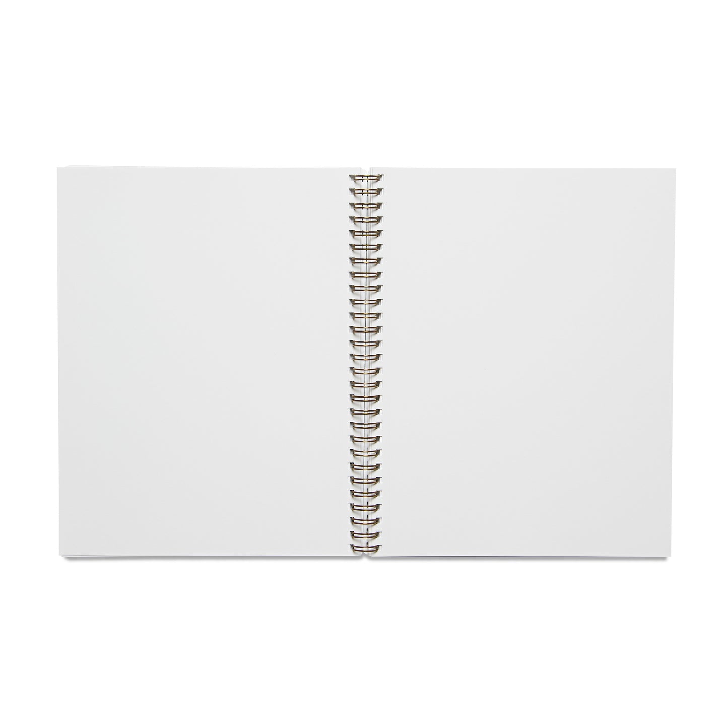 Hotel Saint Cecilia Chambray Notebook x Appointed Co.