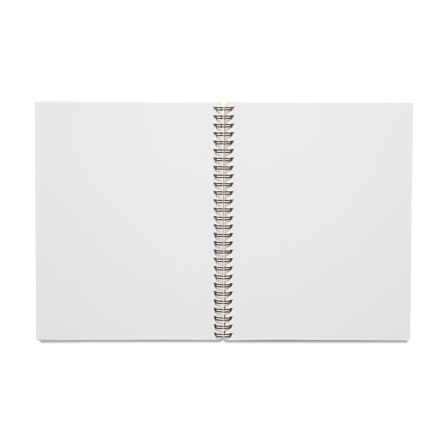 Hotel Saint Cecilia Chambray Notebook