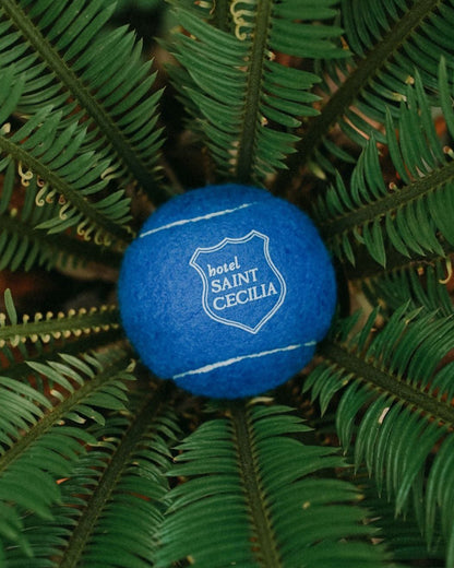 Hotel Saint Cecilia Dog Ball