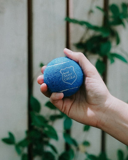 Hotel Saint Cecilia Dog Ball